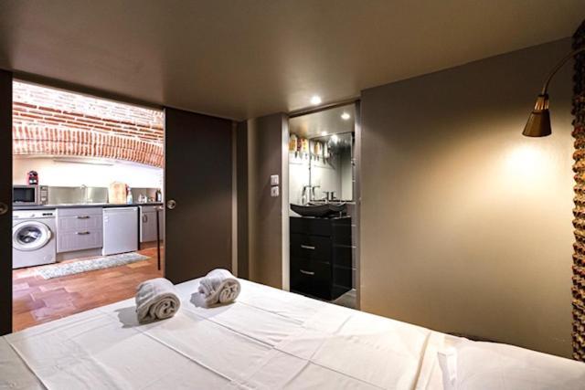 Apartmán Duplex Climatise Dans Un Monument Historique Toulouse Exteriér fotografie